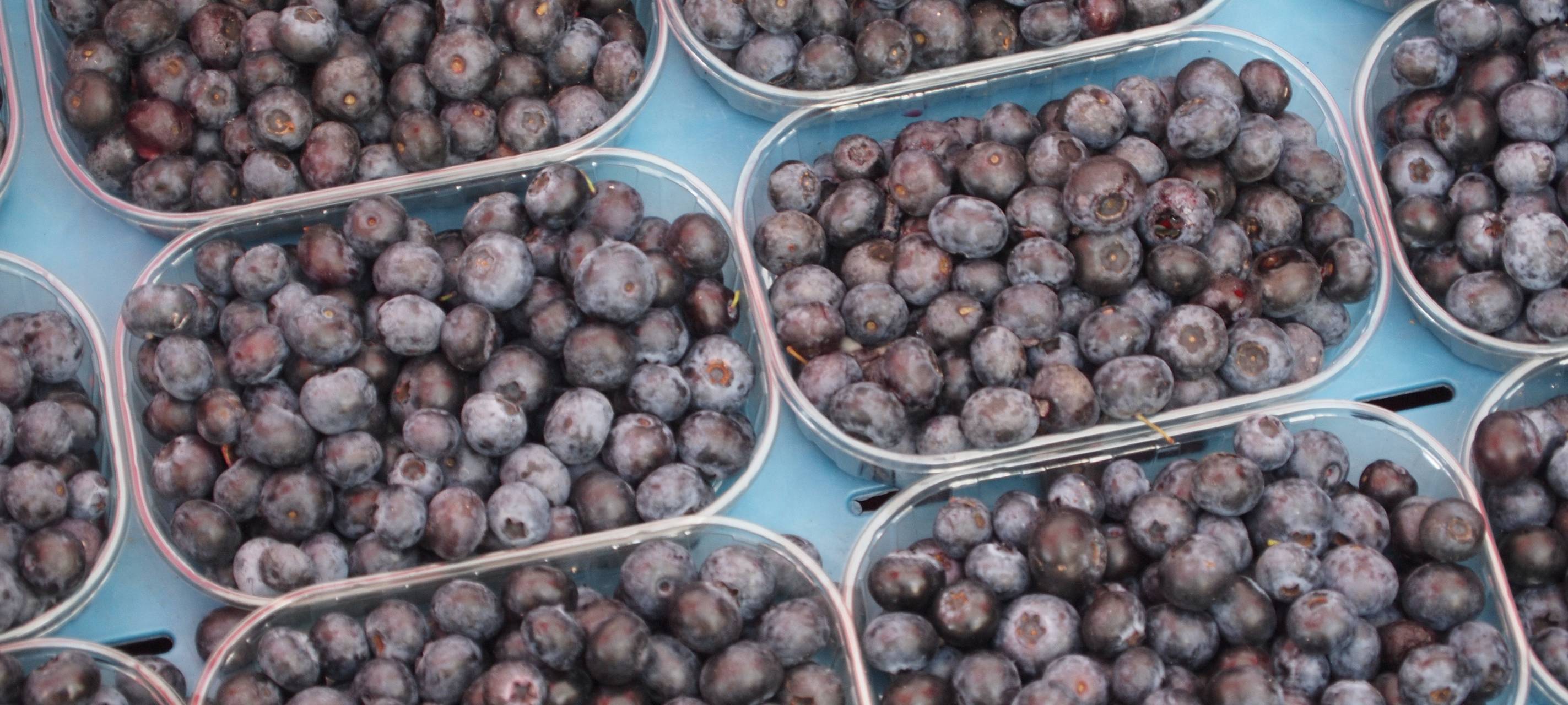 Korschenbroich erlaubt Obst-Pflücken an städtischen Bäumen