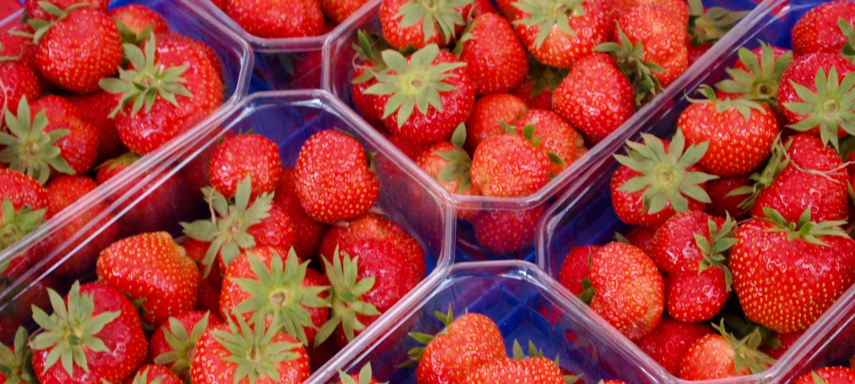 Erste Erntehelfer im Rhein-Kreis Neuss angekommen