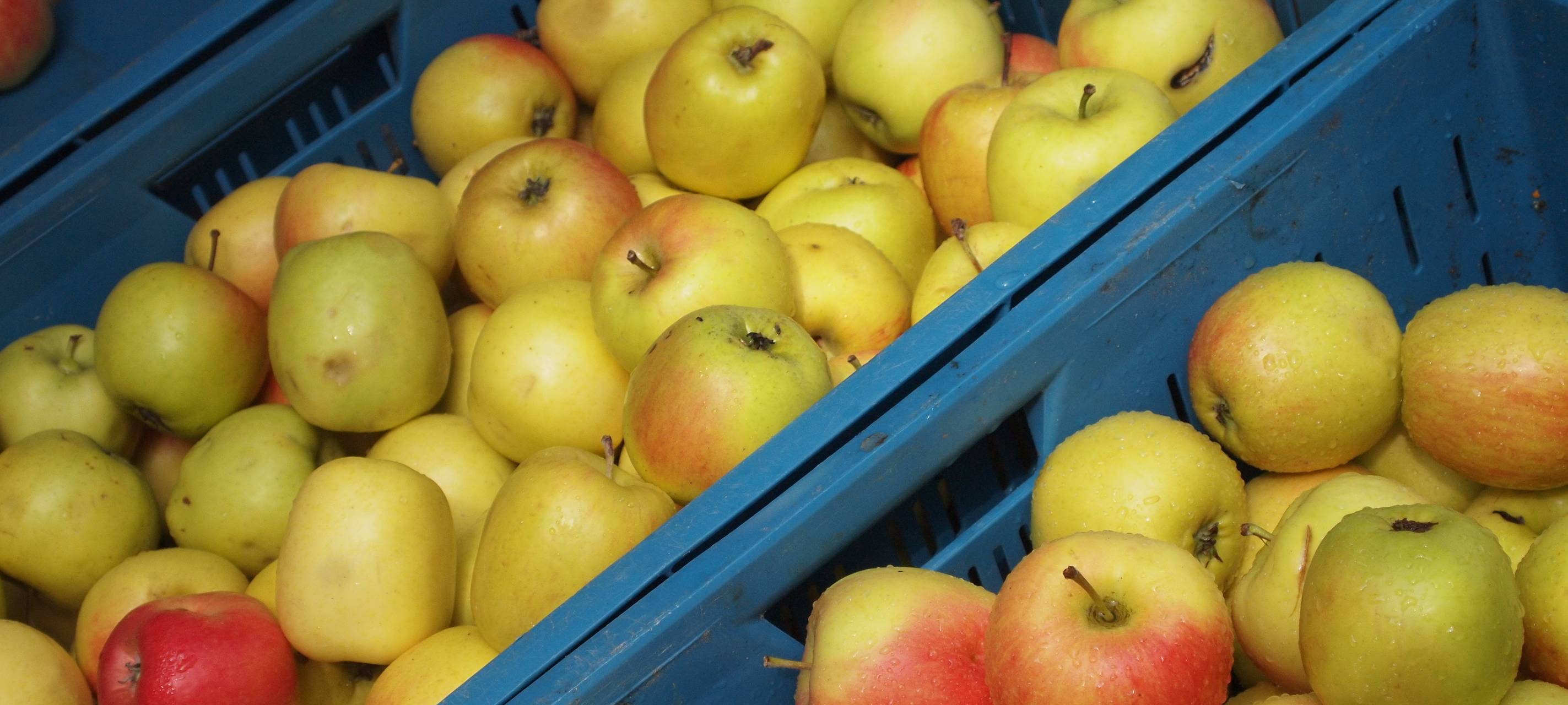 Neusser Tafel: Arbeitet teilweise wieder aufgenommen