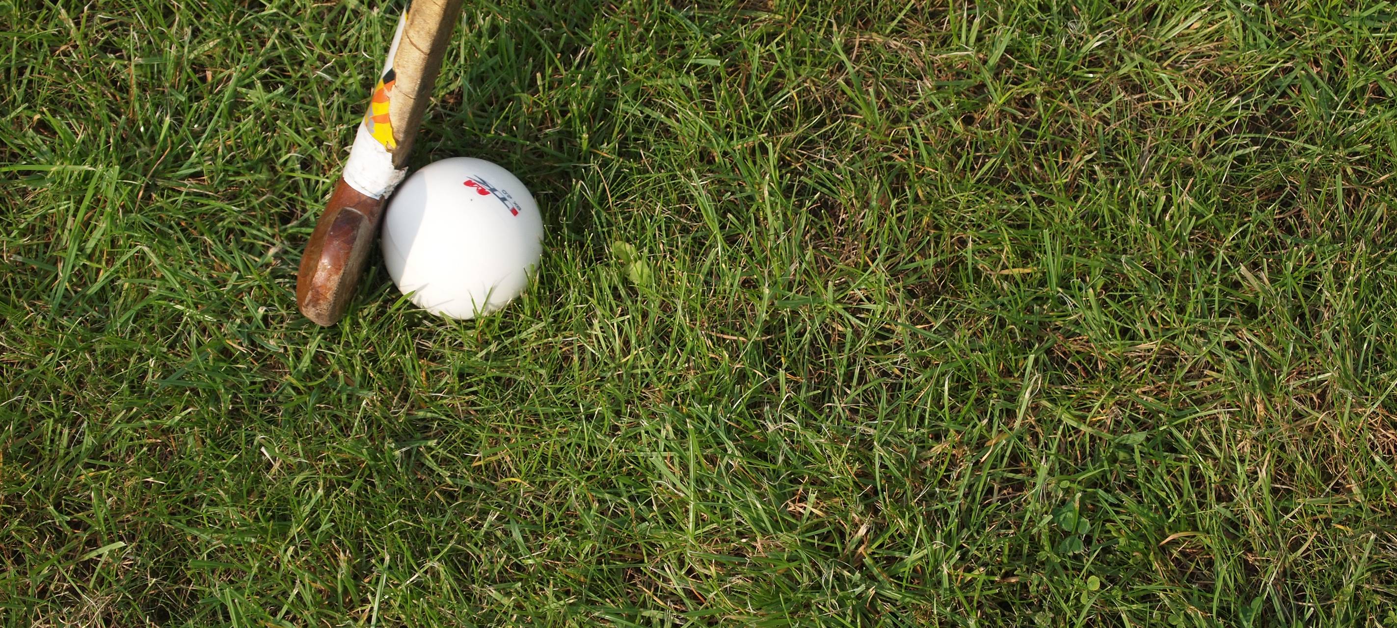 Überlegungen zu Cricket-Spielfeld in Neuss