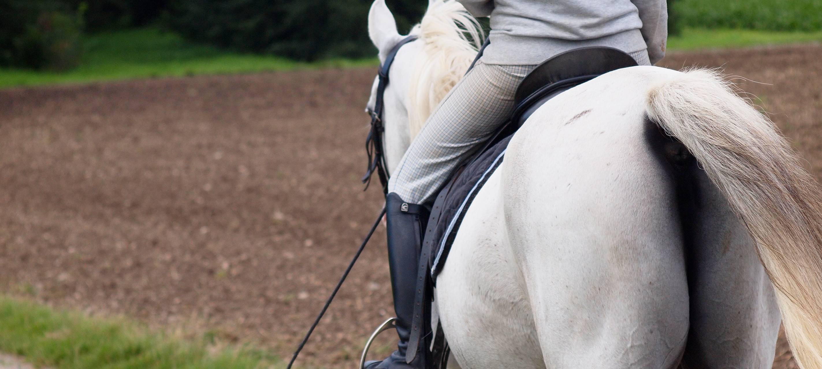 Sanierte Reitwege in Kaarst