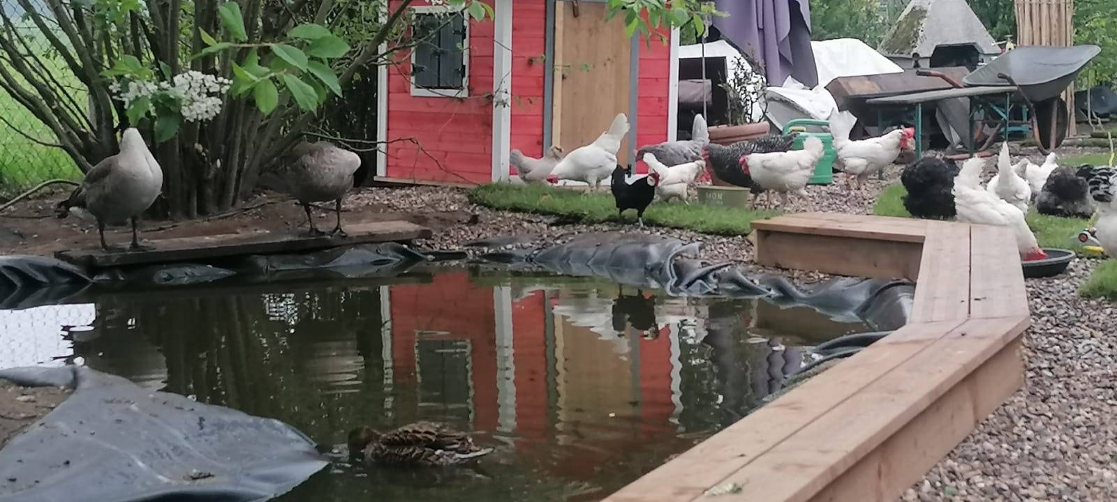 Ein Tierheim für Vögel in Neuss