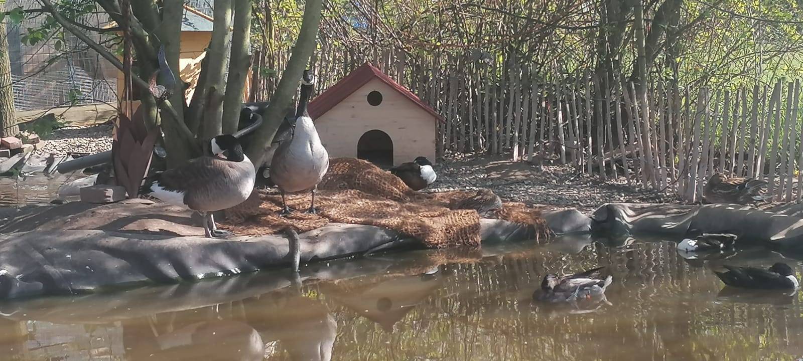 Ein Tierheim für Vögel in Neuss
