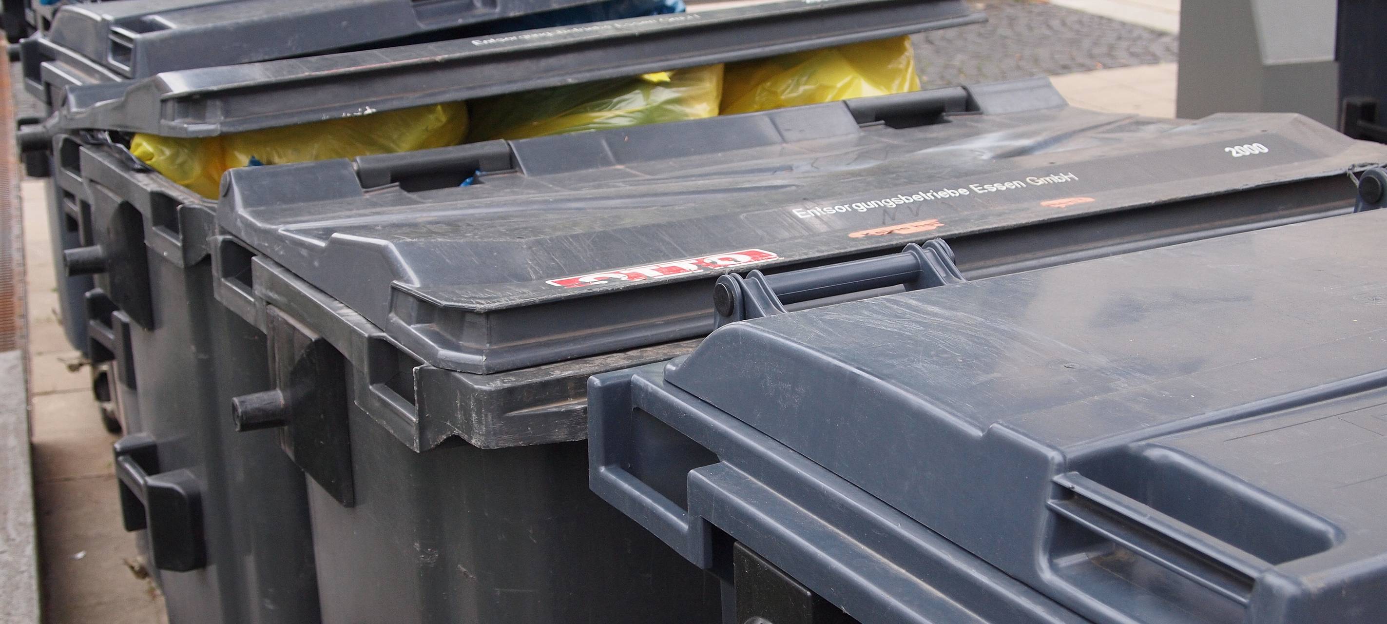 Mülltonnen in Dormagen jetzt digital