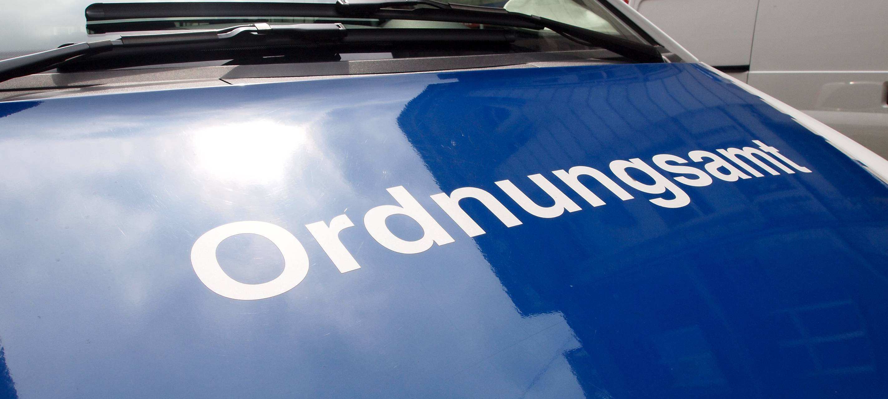 Wer klaut den Bärlauch im Selikumer Park in Neuss?