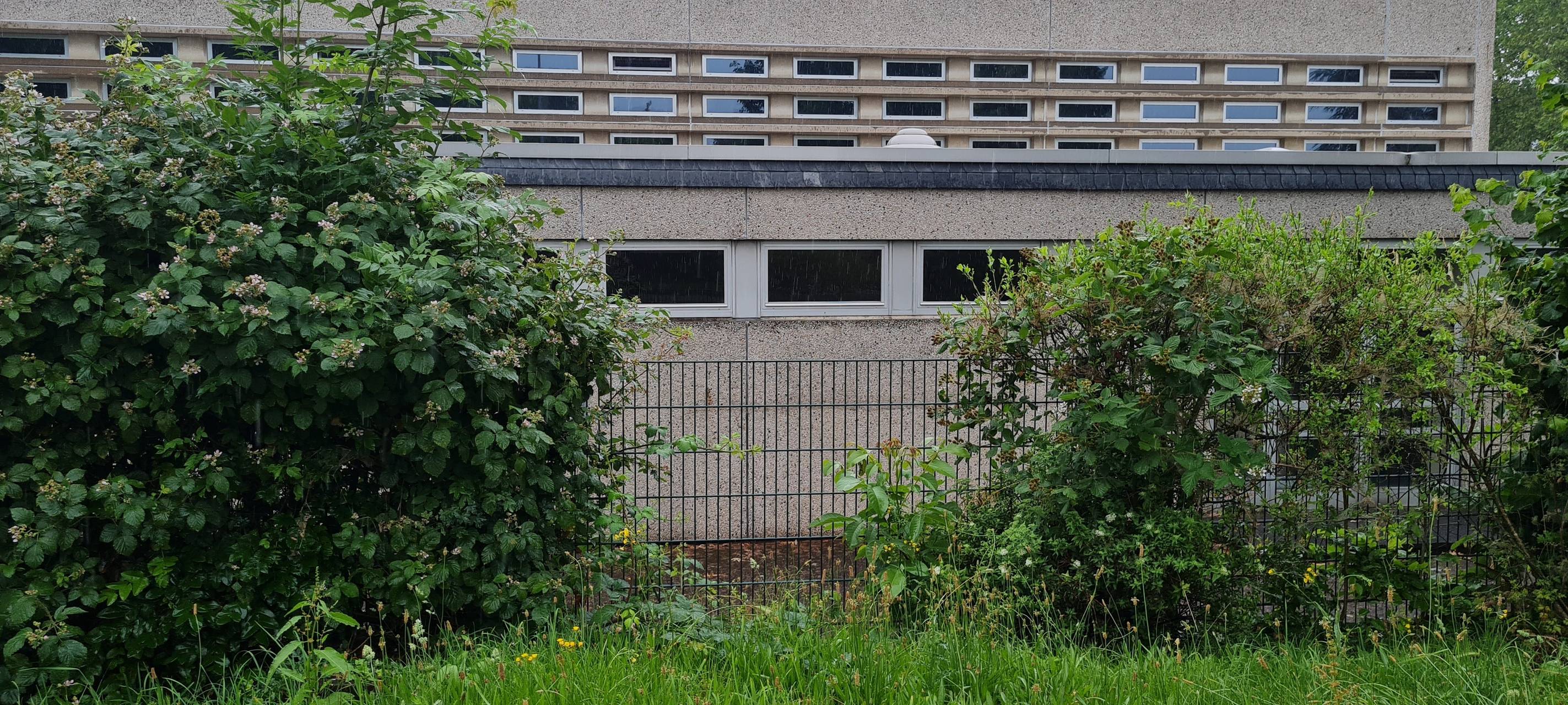 Dormagen: Vandalismus ist an Schulen weiterhin problematisch