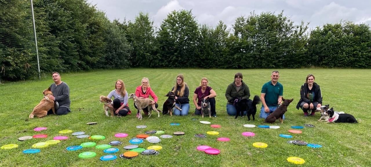 Hunde-Frisbee-Kurse in Rommerskirchen