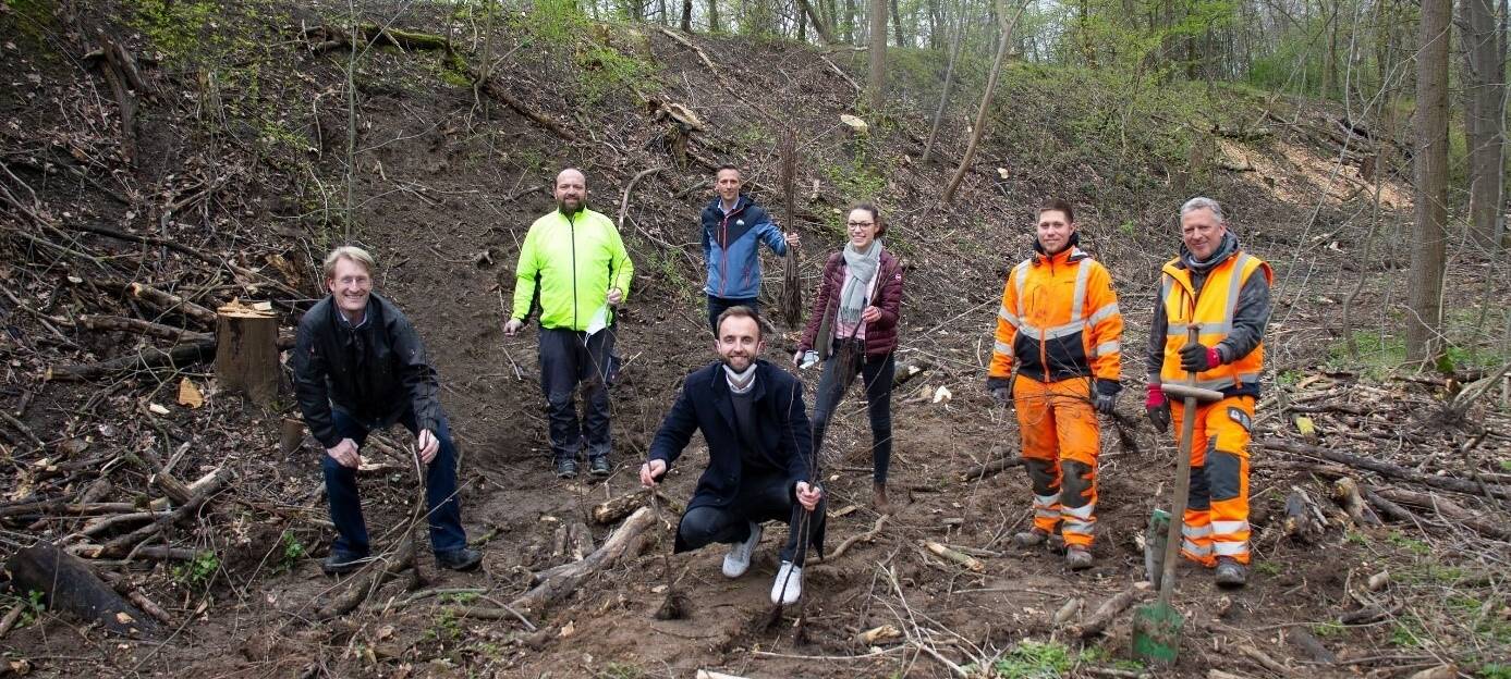 650 neue Bäume in Neuss