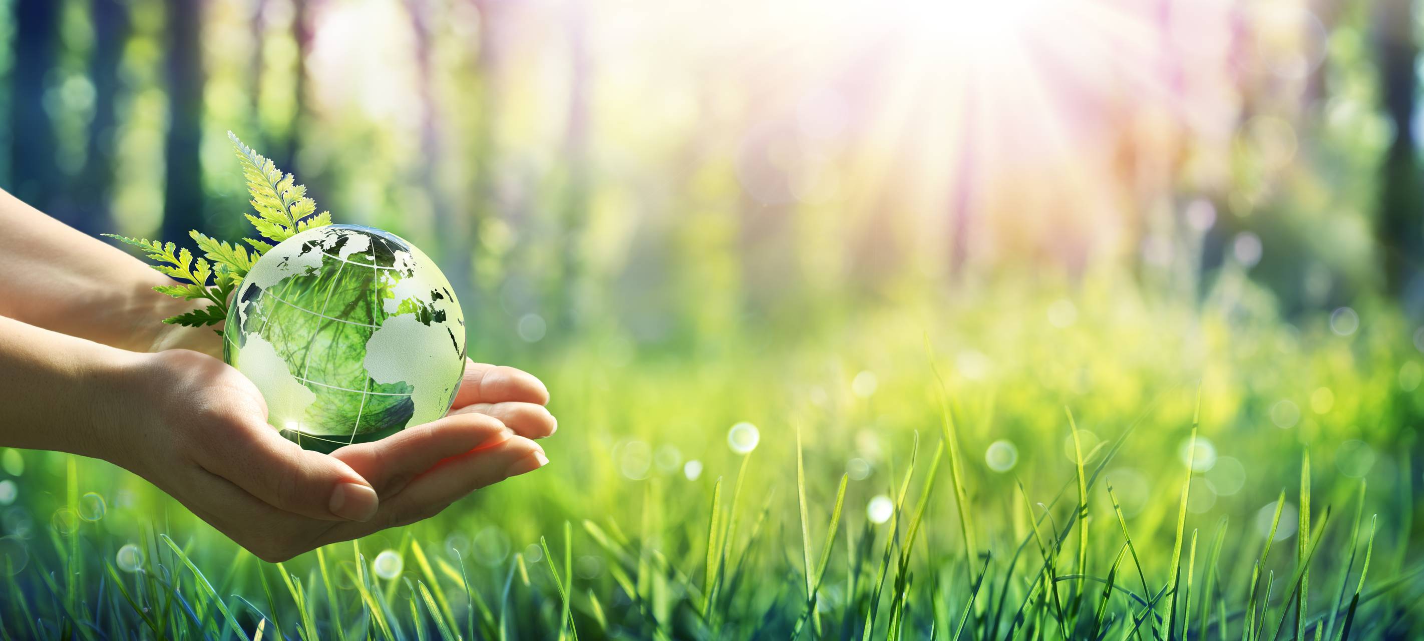 Rommerskirchen will Klima verbessern