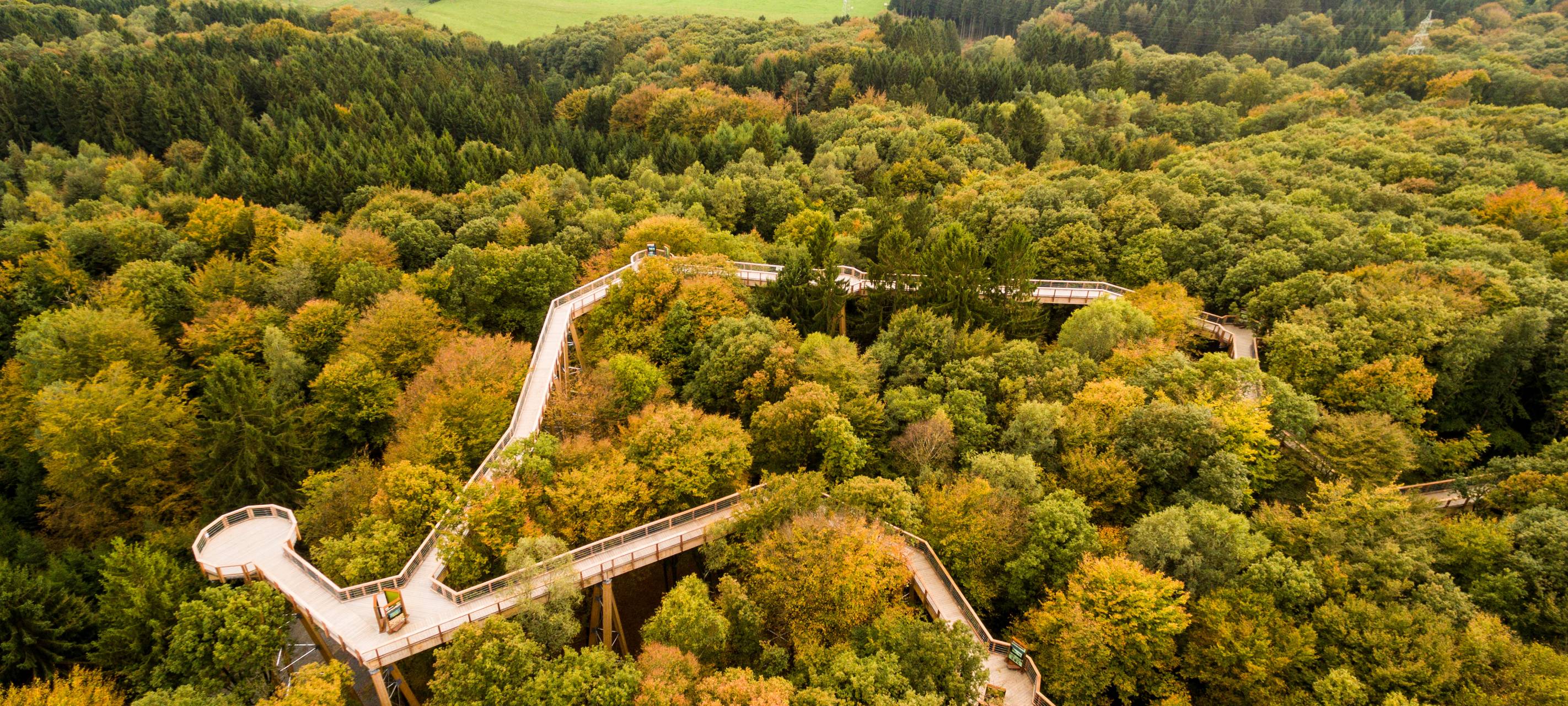 Ausflugsideen für die Herbstferien