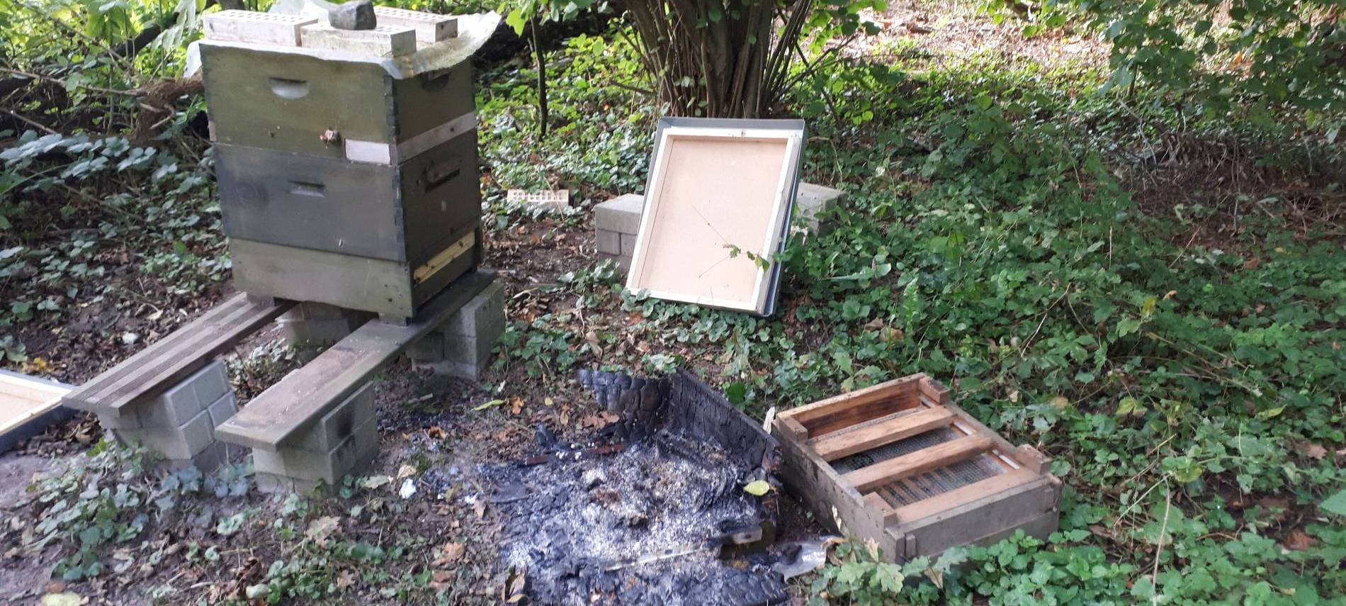 Bienenvolk durch Brand in Neuss zerstört