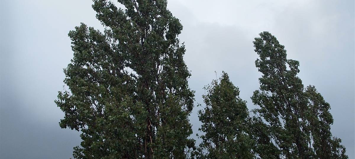 Waldfriedhof in Korschenbroich vorerst gesperrt