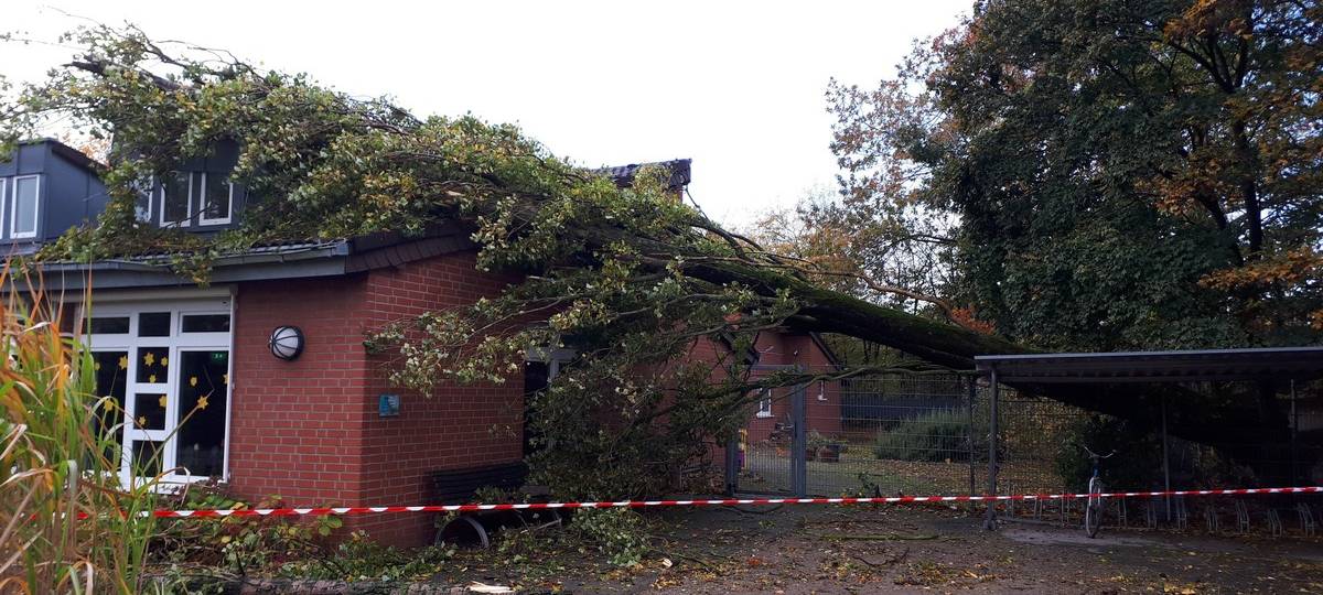 Sturmbilanz im Kreis: viele Einsätze - aber meist harmlos