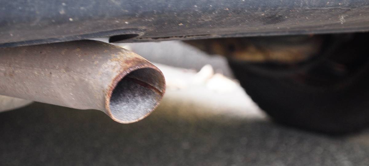 Rhein-Kreis Neuss: Viele Tote durch Schadstoff-Belastung