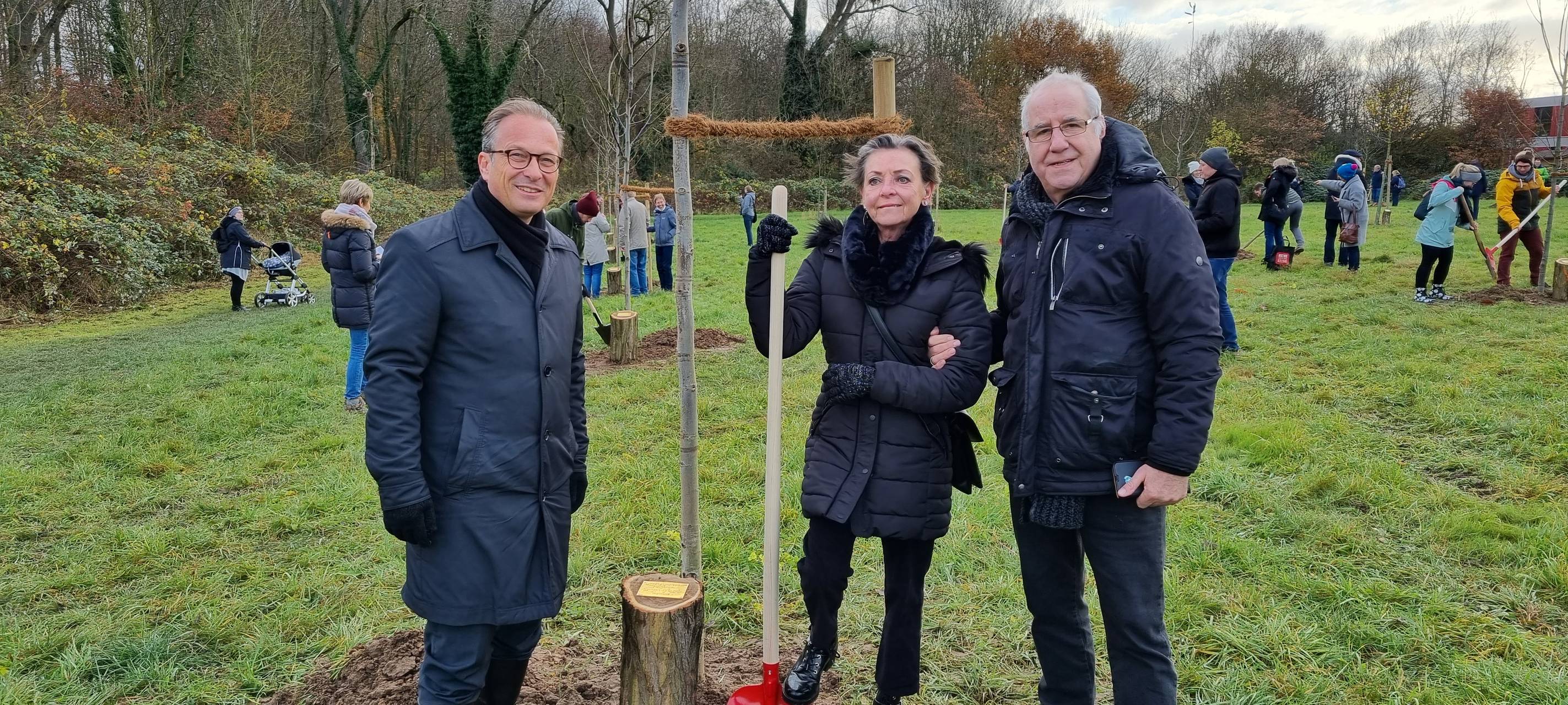 Neue Hochzeitsbäume in Neuss gepflanzt