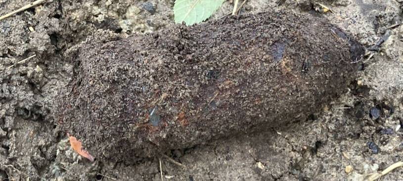 Panzergranaten in Rommerskirchen entschärft