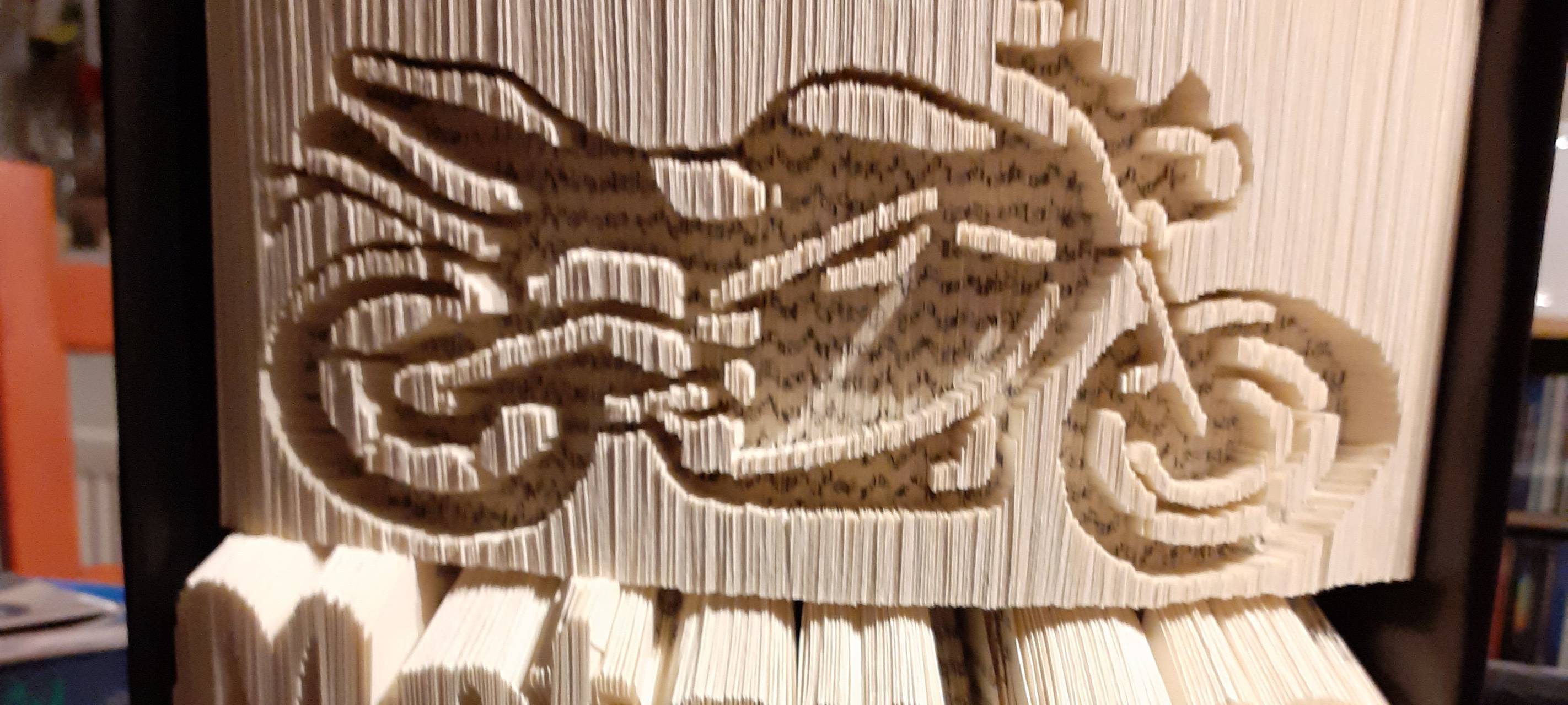 Buchfaltkunst: NE-WS 89.4-Logo in Buch geschnitten