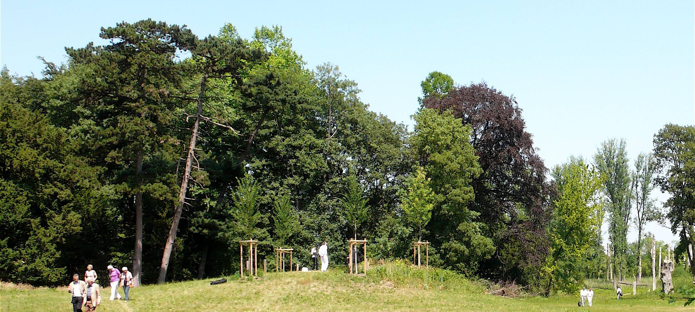 Pläne für Haus Meer in Meerbusch mit Diskussionsbedarf