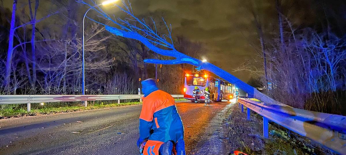 Rhein-Kreis Neuss: Viele Einsätze wegen Sturm Zeynep