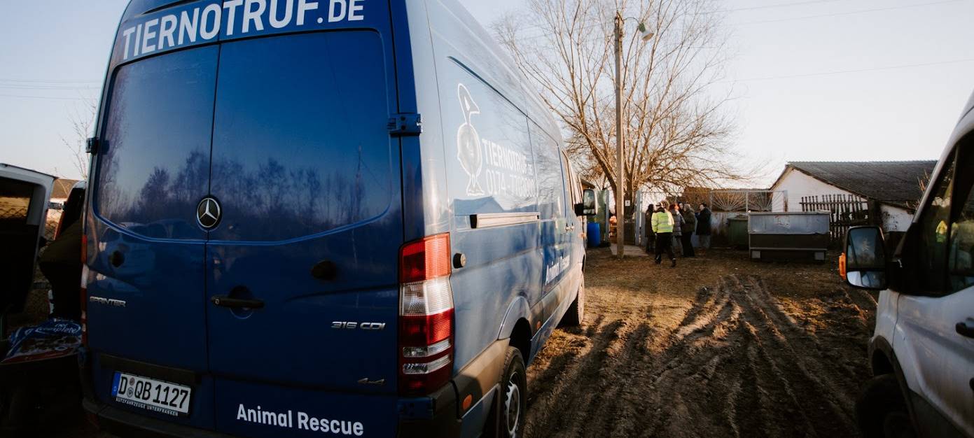 Neusser Verein "Notpfote" hilft in der Ukraine