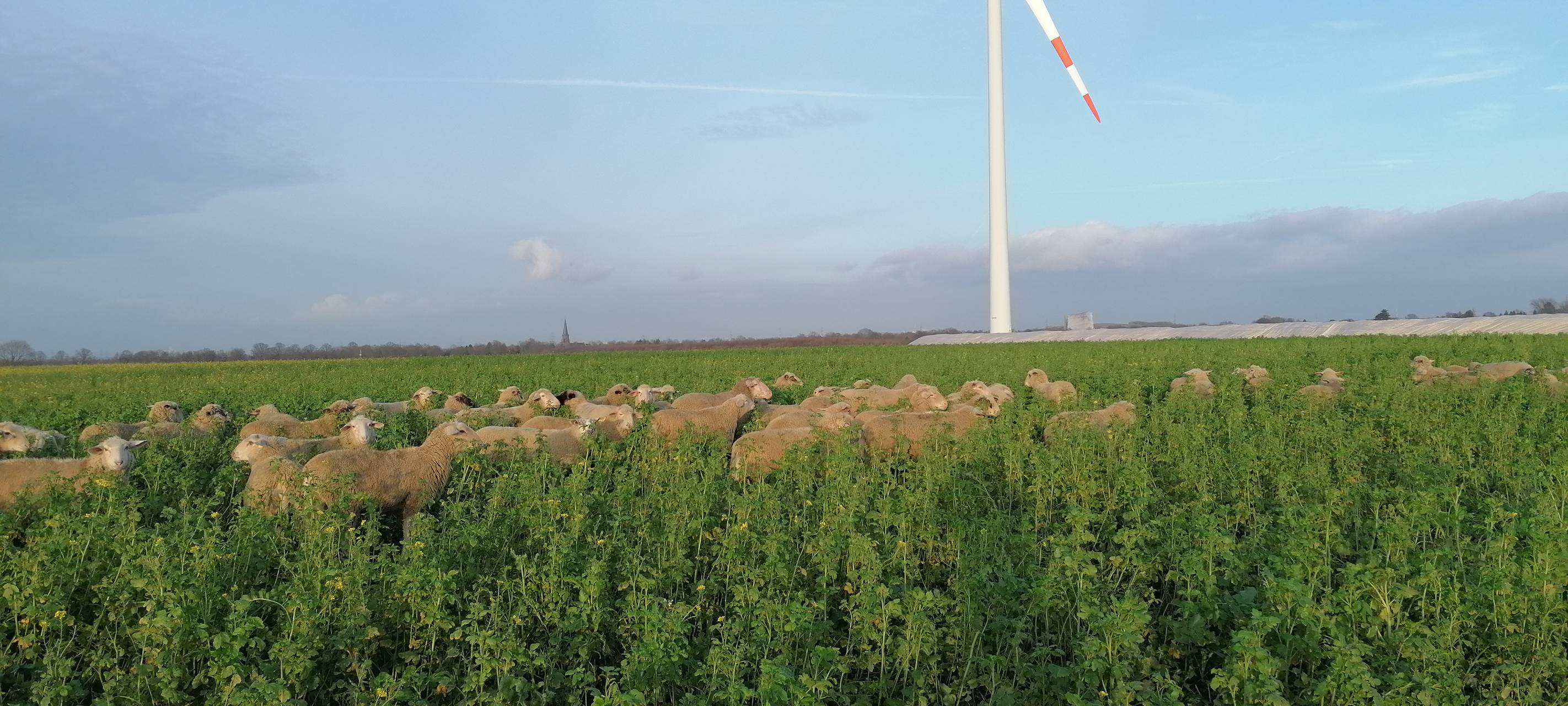 Schwertransport für Windräder in Grevenbroich/Korschenbroich