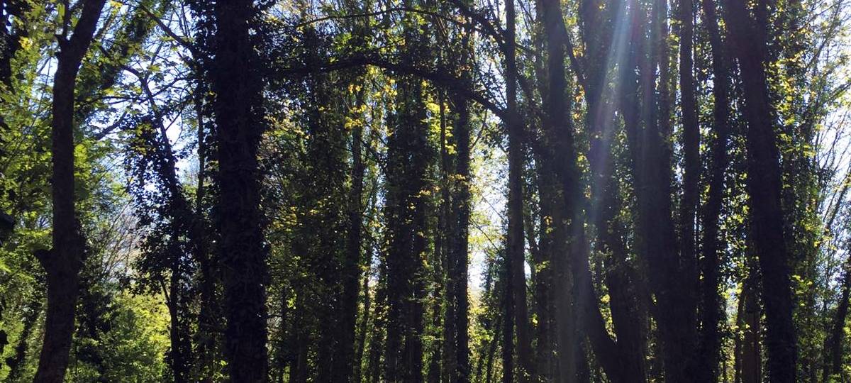 Jüchen: Unterlagen zum "Grünen Korridor" liegen aus