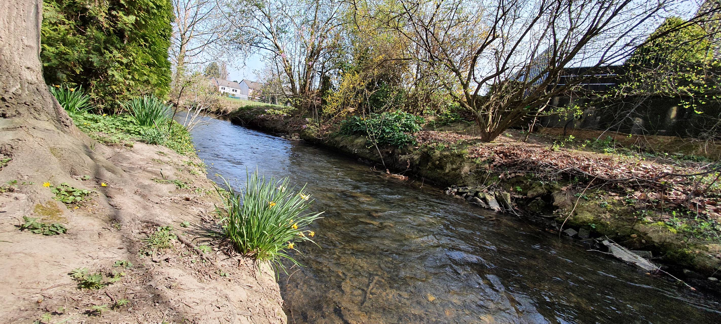 Rommerskirchen sucht Fotos und Geschichten zum Gillbach