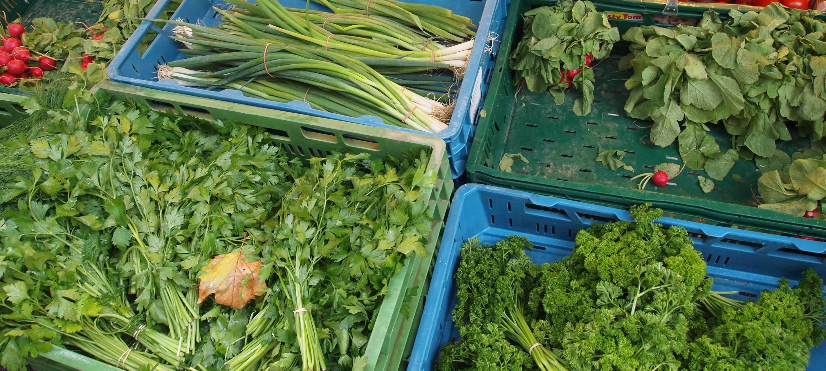 Gemüse und Obst selbst anbauen: Tipps von einer Gärtnerin