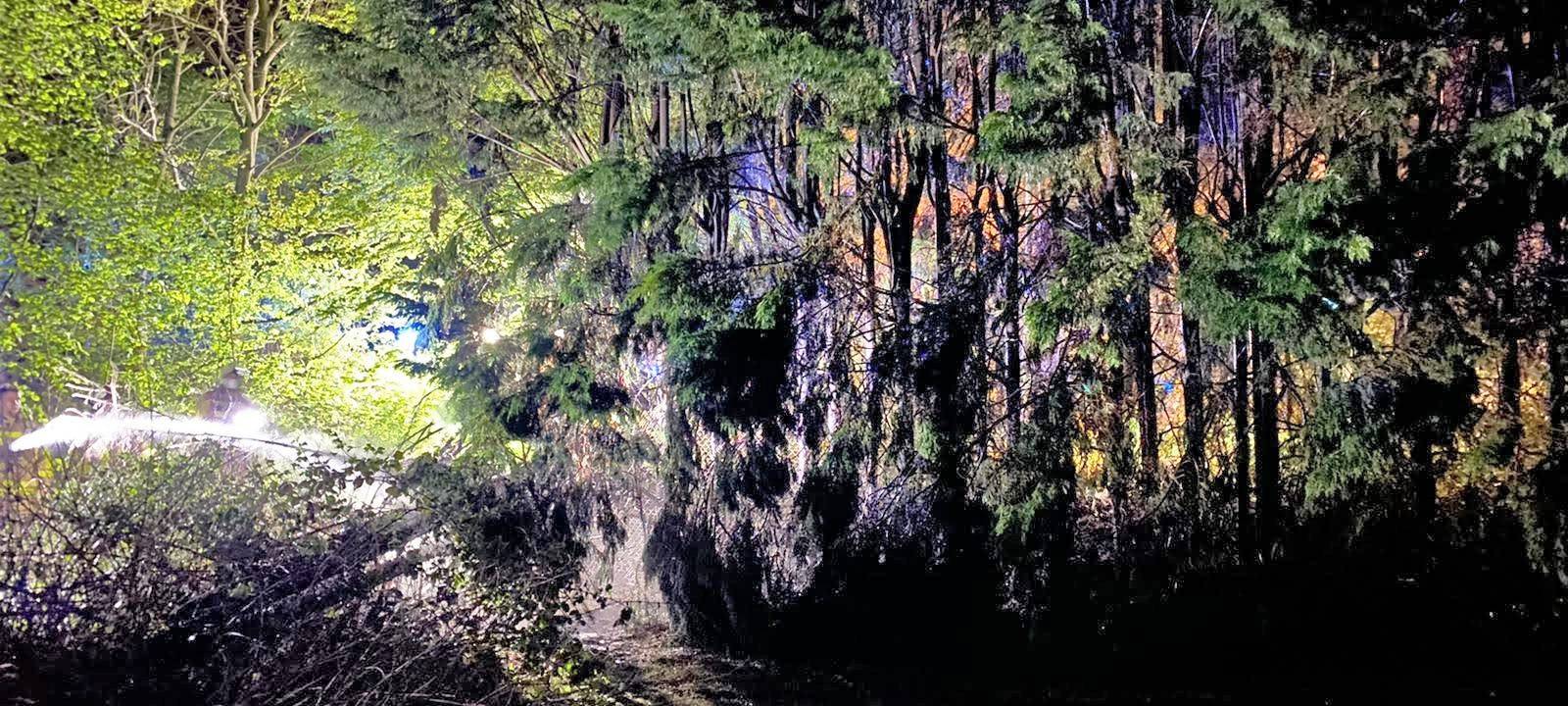 Wälder im Kreis jetzt schon sehr trocken