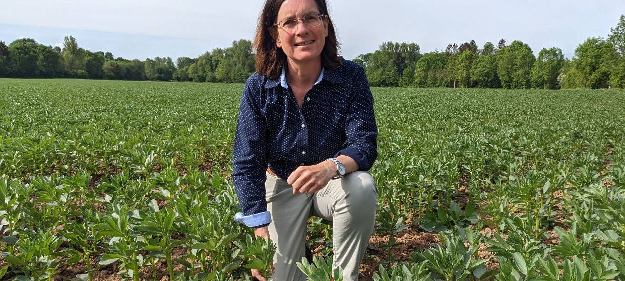 Zukunft des Weizenanbaus im Rhein-Kreis Neuss