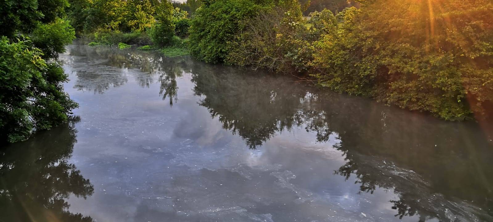 Blütenpollen auf der Erft sorgen für Feuerwehreinsatz