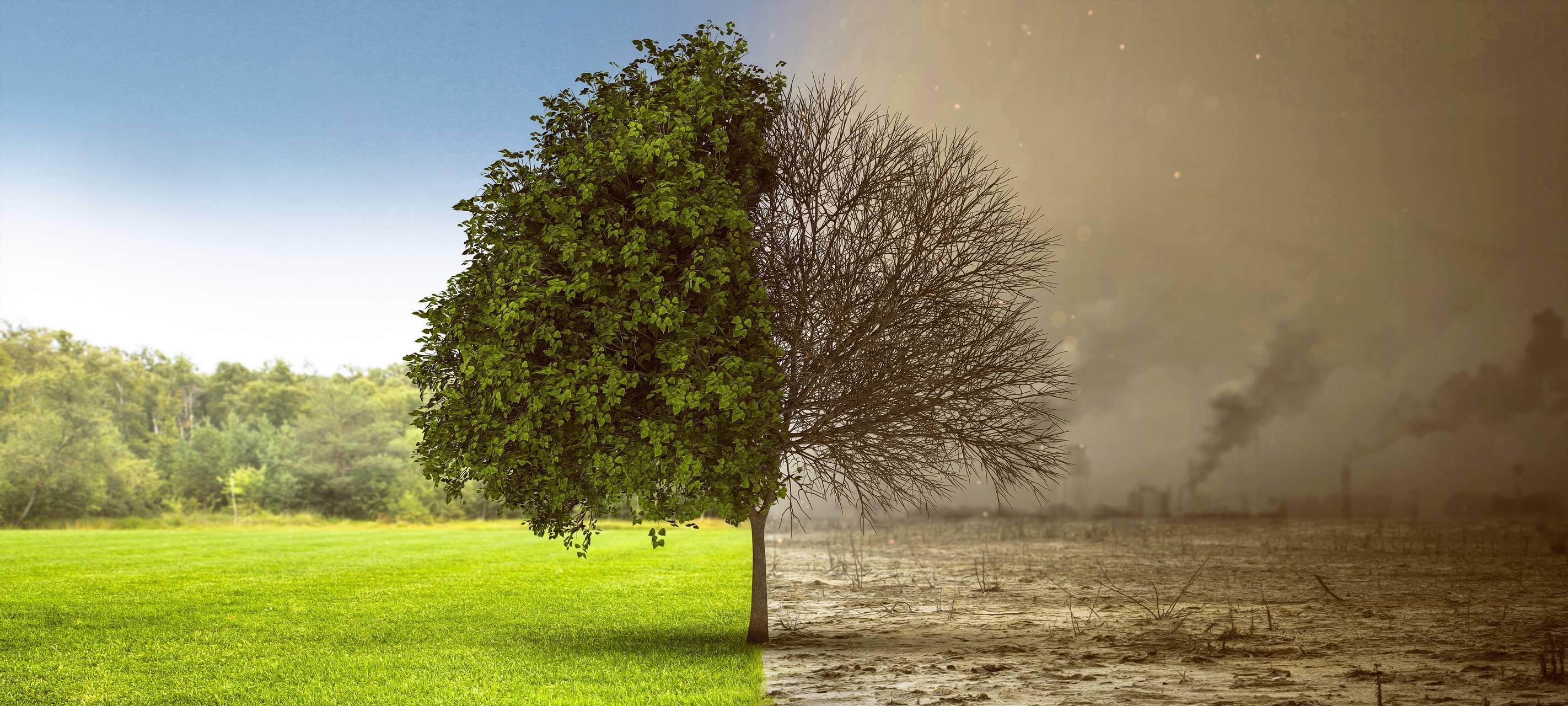 Korschenbroich sucht nach Bufdis