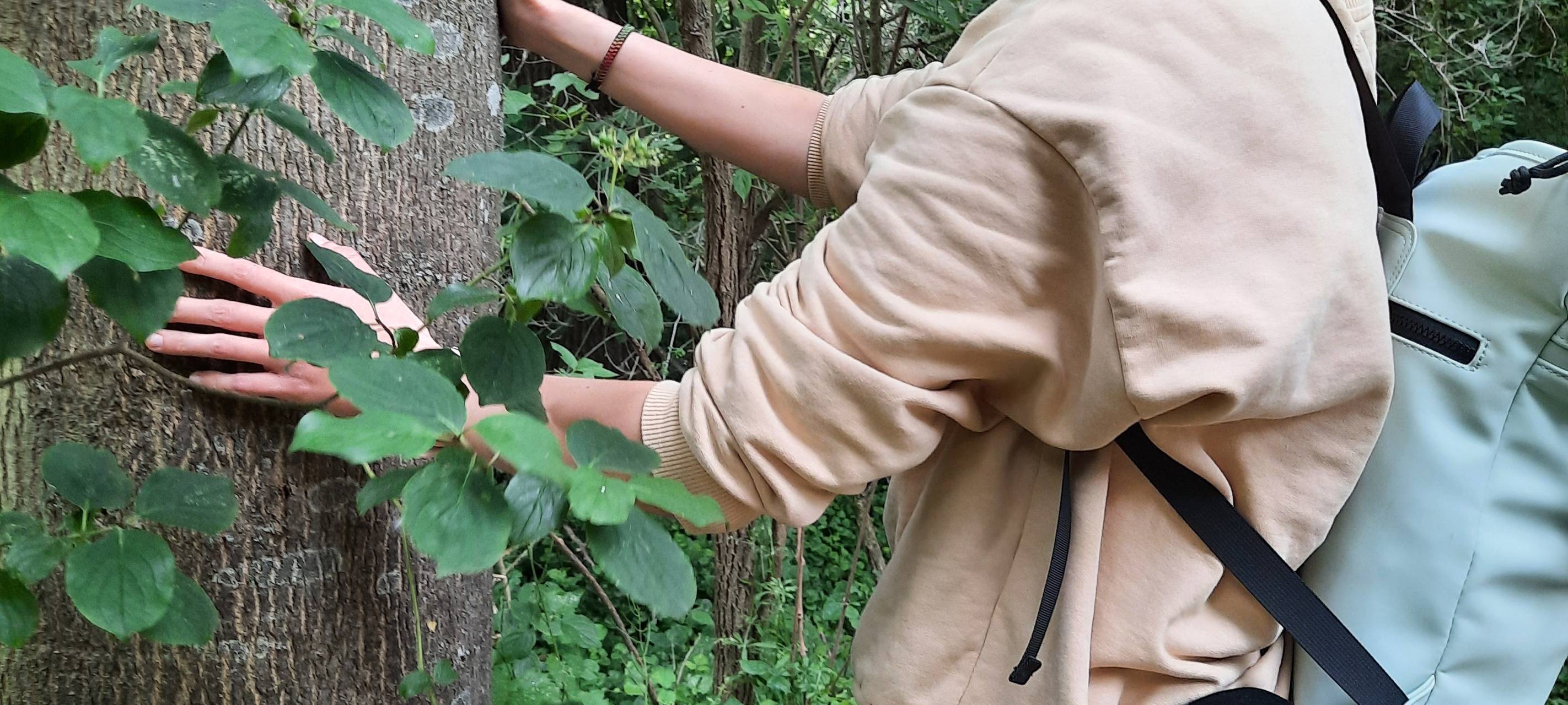 Korschenbroicherin bietet "Waldbaden" an