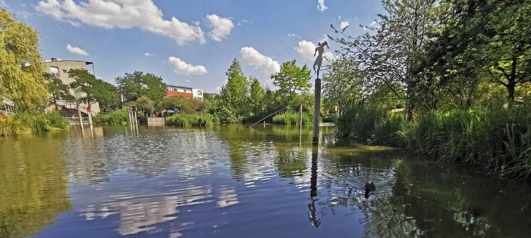 Blaualgen im Kaarster Stadtparksee