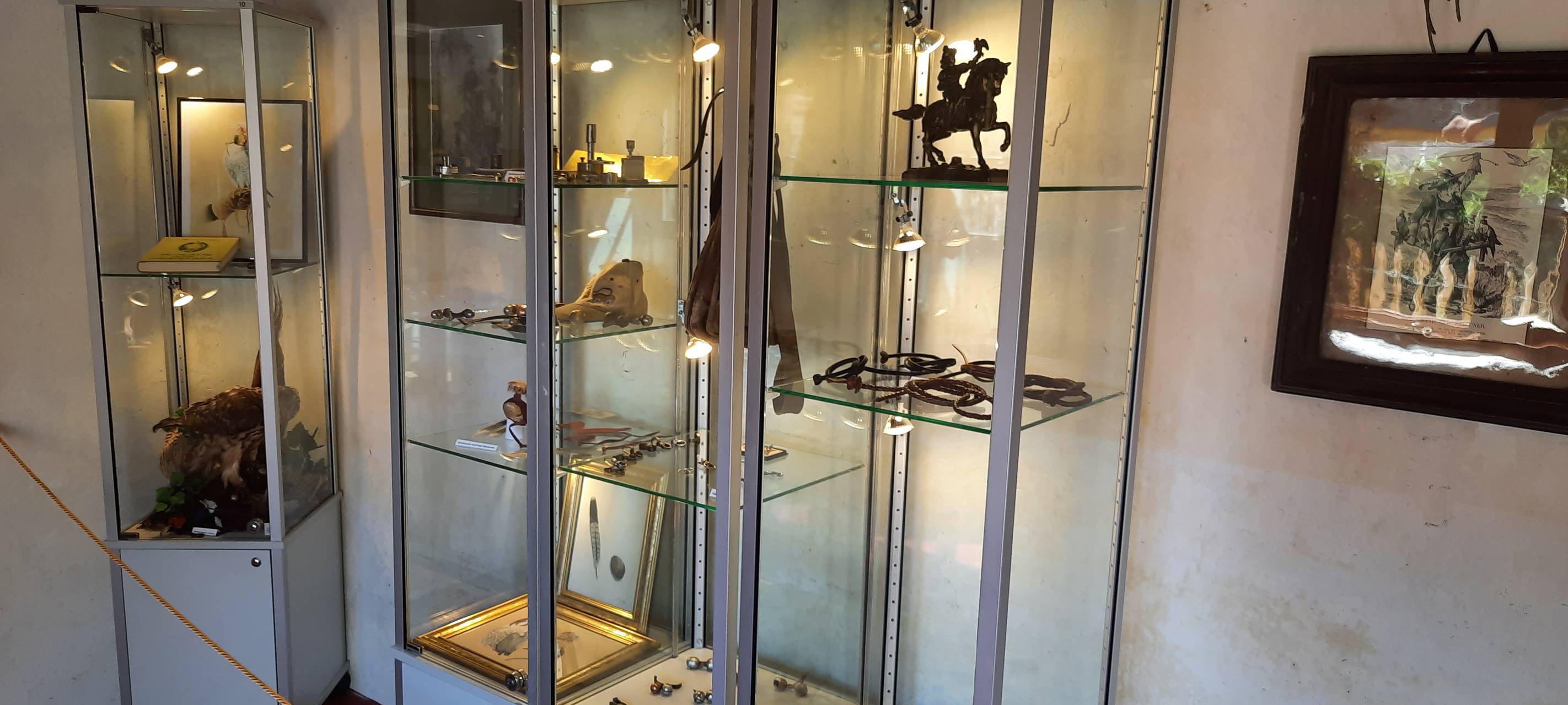 Falknerei-Museum in Zons