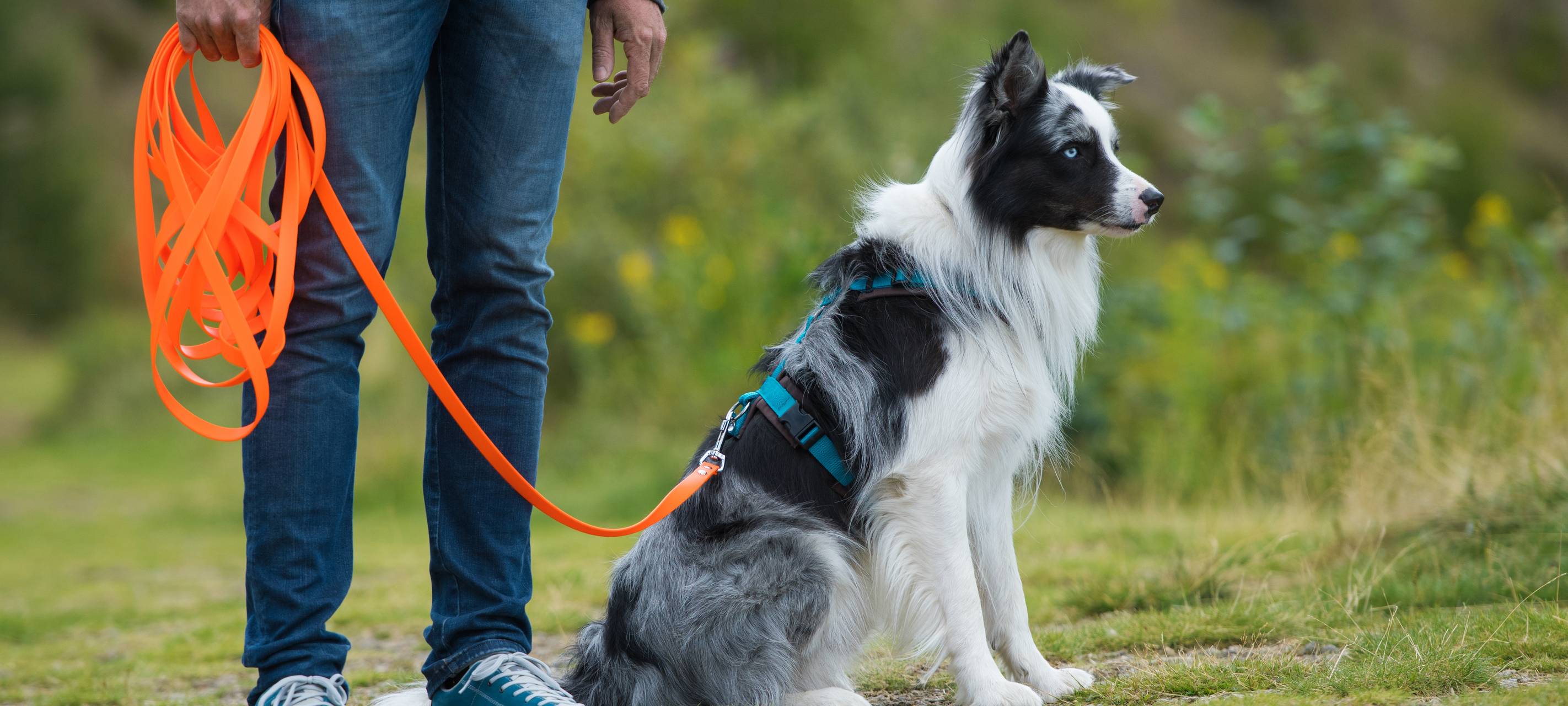 Anleinpflicht am Kaarster See