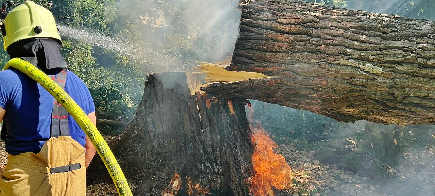 Spaziergängerin verhindert Waldbrand in Grevenbroich