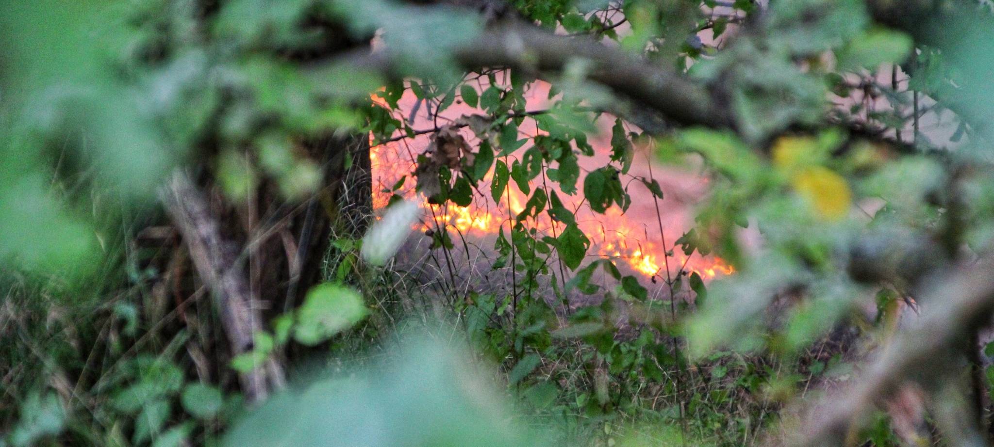 Rhein-Kreis Neuss: Keine akute Waldbrandgefahr