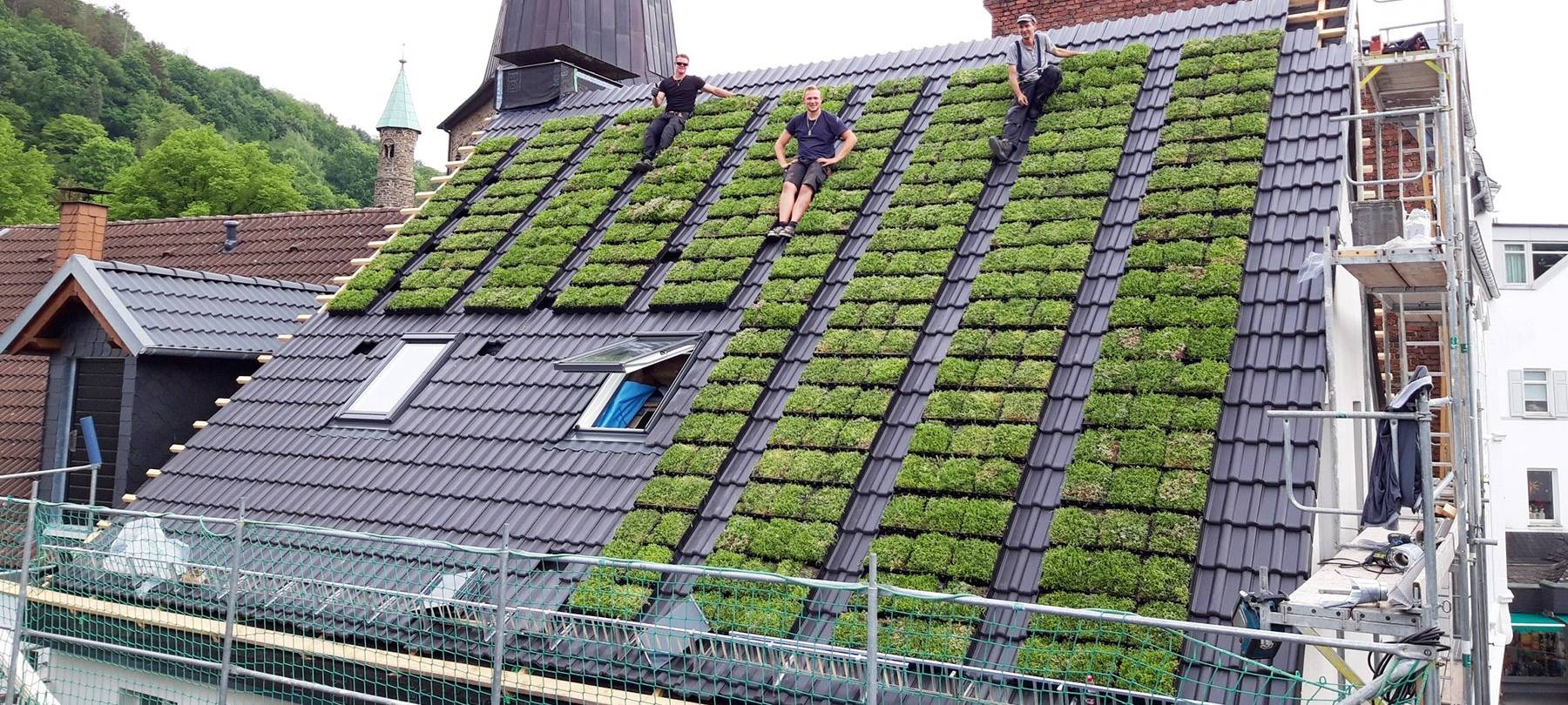 Förderung zur Dachbegrünung in Rommerskirchen kaum genutzt