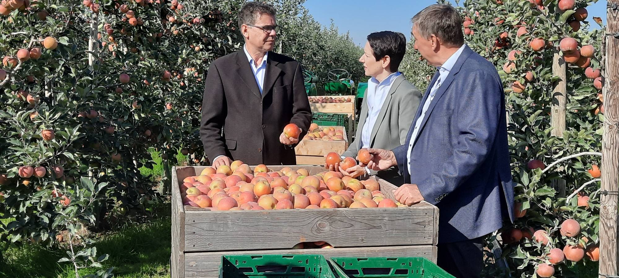 Halbzeit bei der Ernte im Rhein-Kreis Neuss