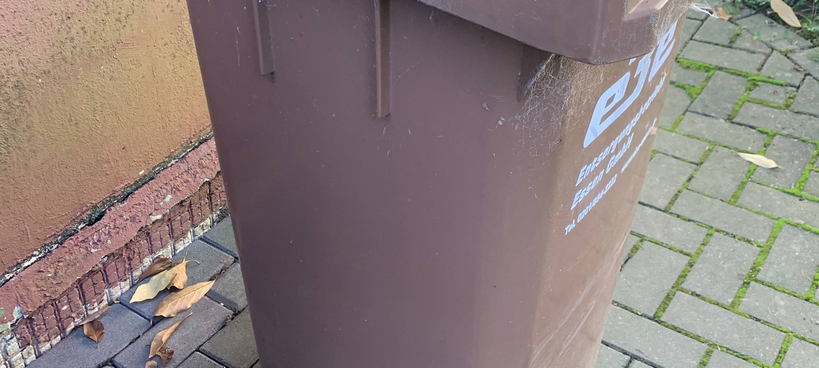 Bessere Nutzung der Biotonne im Rhein-Kreis Neuss geplant