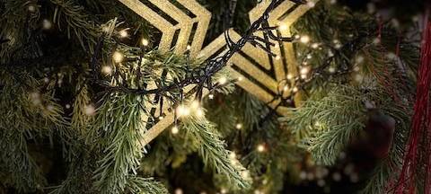 Rhein-Kreis Neuss: Weihnachtsbäume werden abgeholt