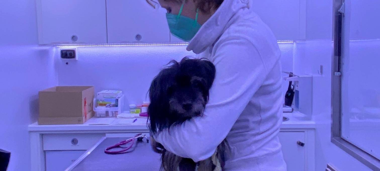 Das Tiermobil im Einsatz