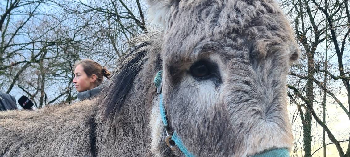 Nepomuk feiert seinen 4. Geburtstag