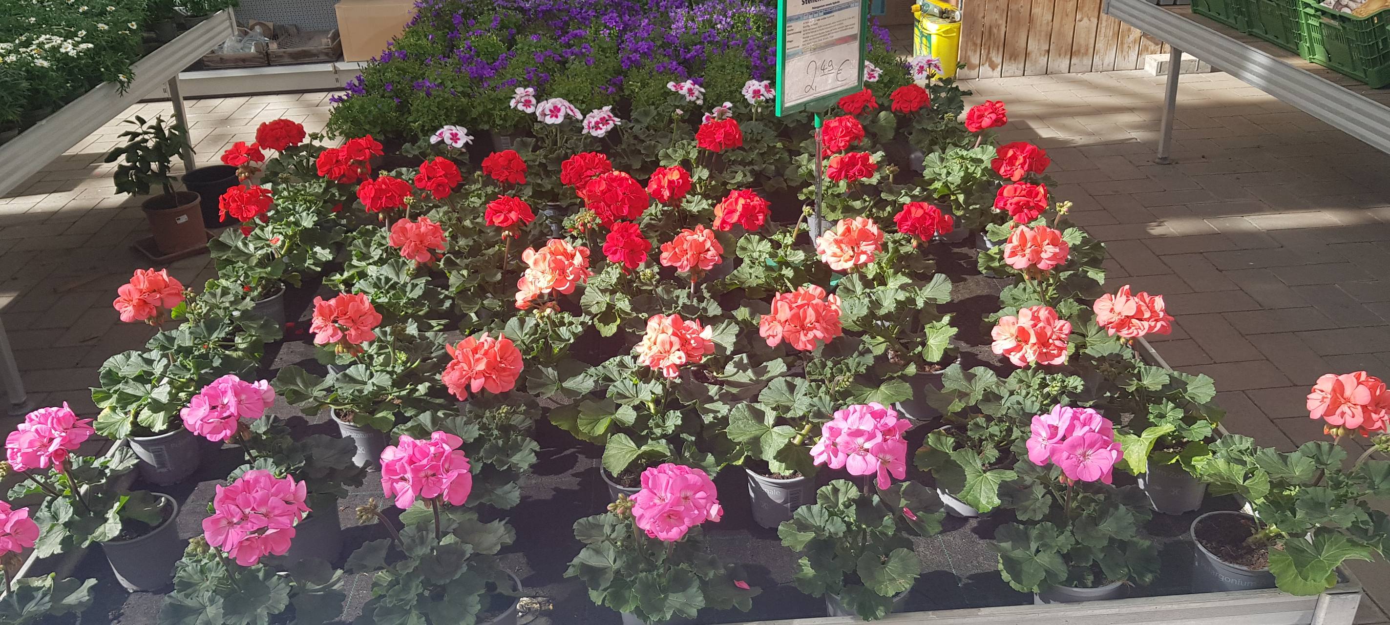 Neuss: Wettbewerb Neues Grün