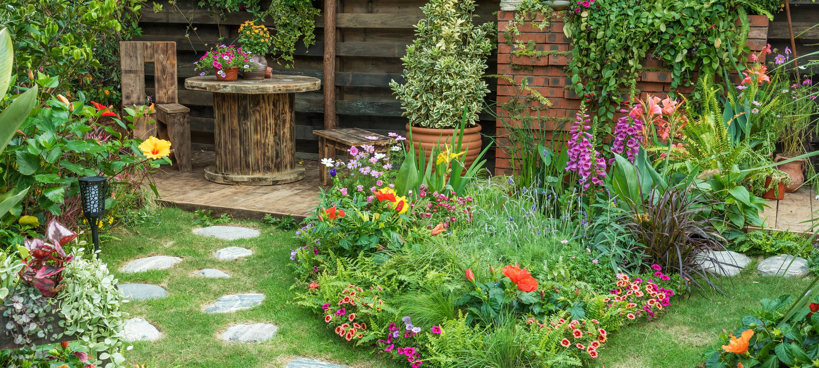 Falter zählen im Rhein-Kreis Neuss