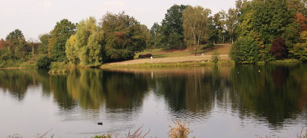Neuer Trimm-Dich-Pfad in Neuss fast fertiggestellt