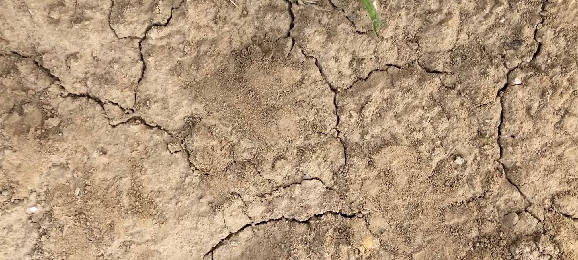 Trockenheit im Rhein-Kreis Neuss