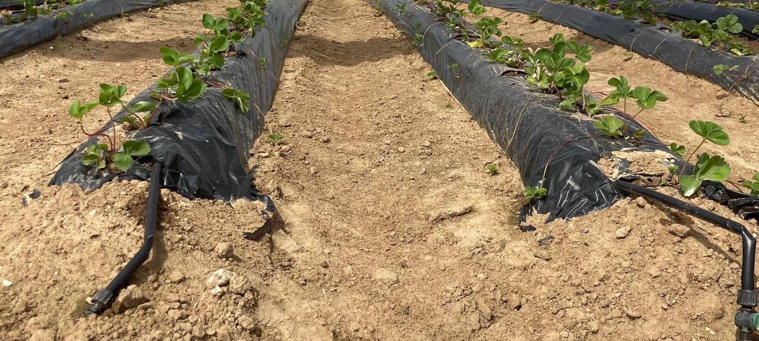 Trockenheit im Rhein-Kreis Neuss