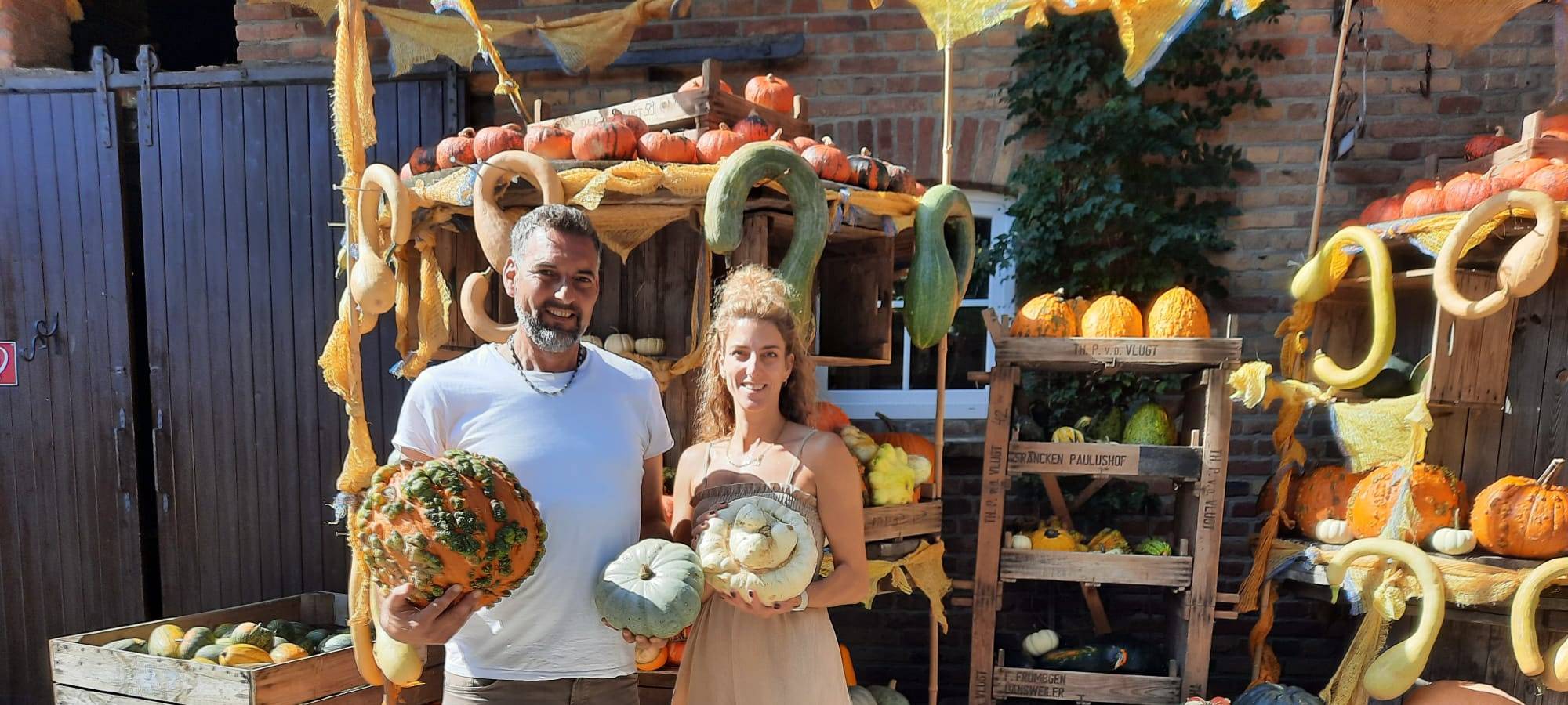 Die Kürbis-Saison läuft - die Infos rund um das Trend-Gemüse